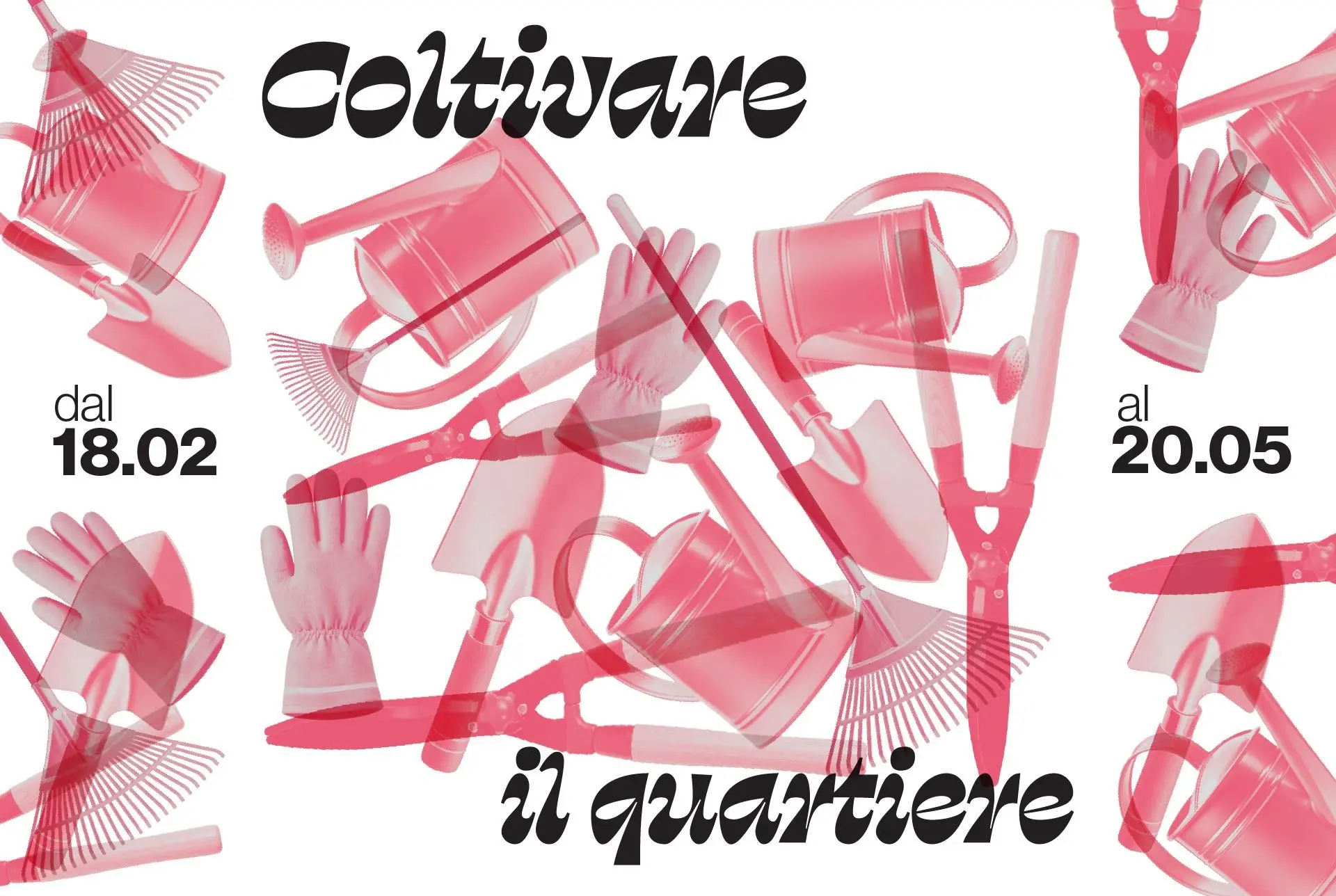 libro mosso immagine